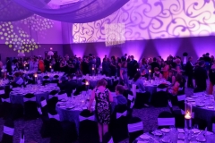Stage/Gala/Awards