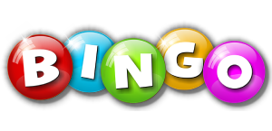 Bingo Logo - Virtual Services 2024